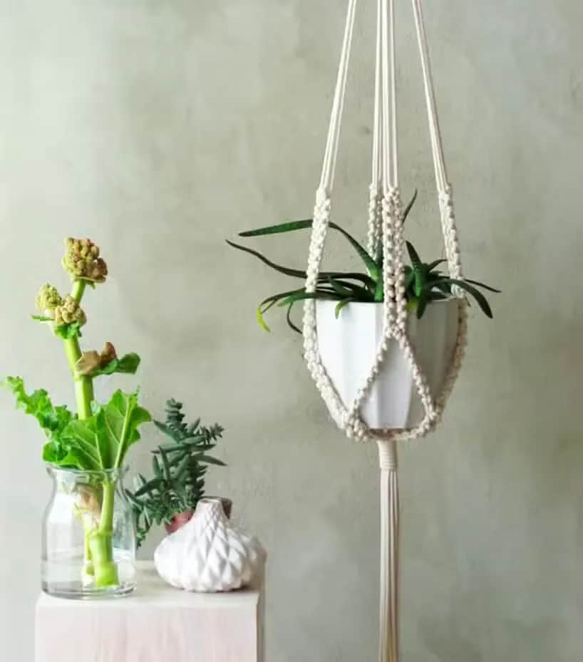 Jak zrobić kwietnik na ścianę: 5 prostych metod DIY krok po kroku