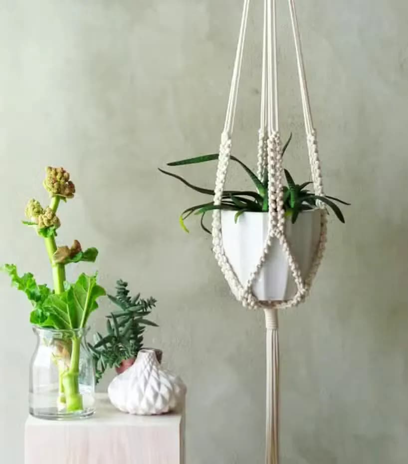 Jak zrobić kwietnik na ścianę: 5 prostych metod DIY krok po kroku