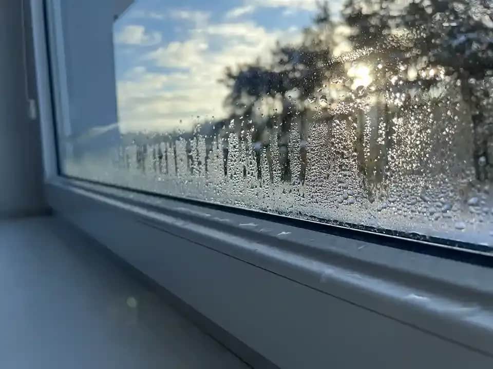 Dlaczego parują okna w domu? 5 przyczyn i skuteczne rozwiązania